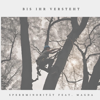 bis ihr versteht (feat. Magda) - Single