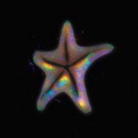 USee - Single - dvdv & Poly Armour