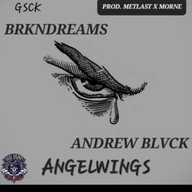 BRKNDREAMS X ANDREWBLVCK -angelwings prod. metlast x morne Brkndreams