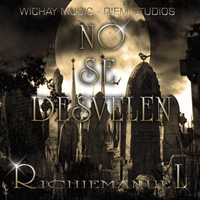 No Se Desvelen - Single