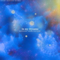 In my Dreams (feat. Alma Lin, Nina Nalo, Flame Timo, Jasper Whisper & Randy Divine) - Single - Sensory Meditation