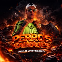 Perros Salvajes (feat. WHTEGOLD) - Single - M96