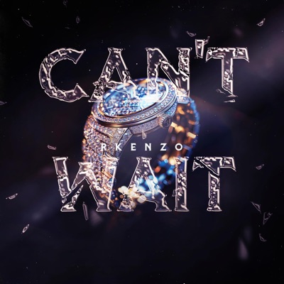 Can't Wait - Single