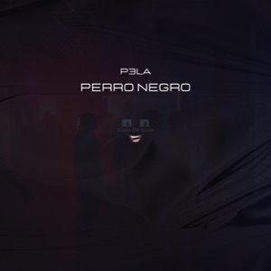 Perro Negro