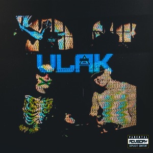 Vlak