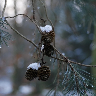 Wieso weinst du im Winter? - EP