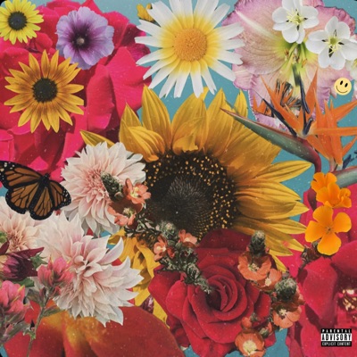 Spring Back, Fall Forward