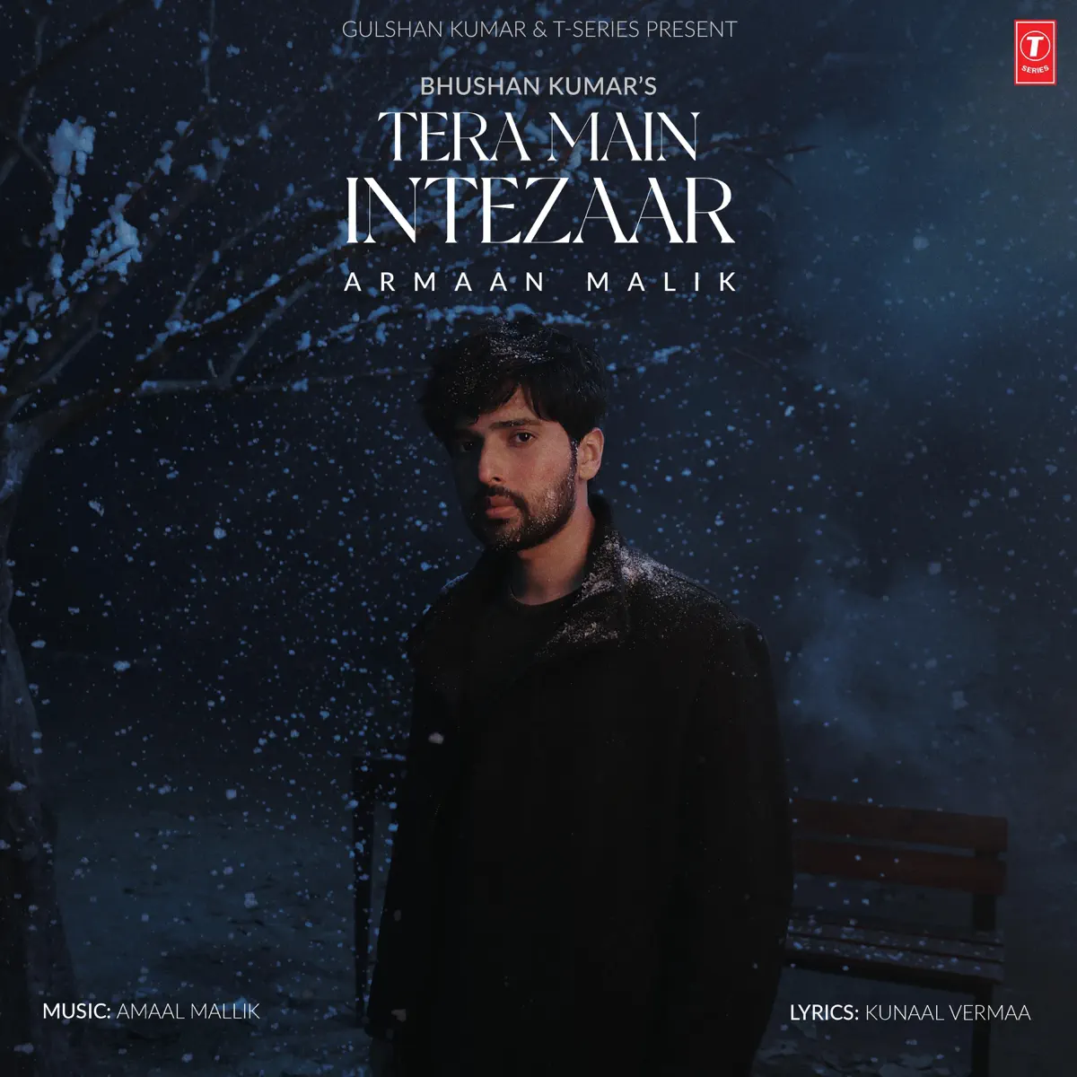 Armaan Malik - Tera Main Intezaar - Single (2024) [iTunes Plus AAC M4A]-新房子