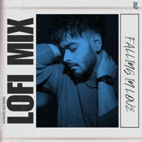 Falling in love (Lofi Mix) - Single - Karan Sehmbi