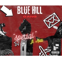 Special (feat. Aditi) - Single - Blue Hill Gang