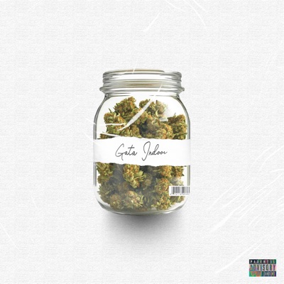 GATA INDOOR - Single