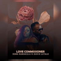 Love Commissioner (feat. David Lutalo) - Single - Rema namakula