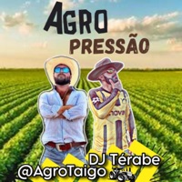 Agro Pressão (feat. @AgroTaigo) - Single - DJ Térabe