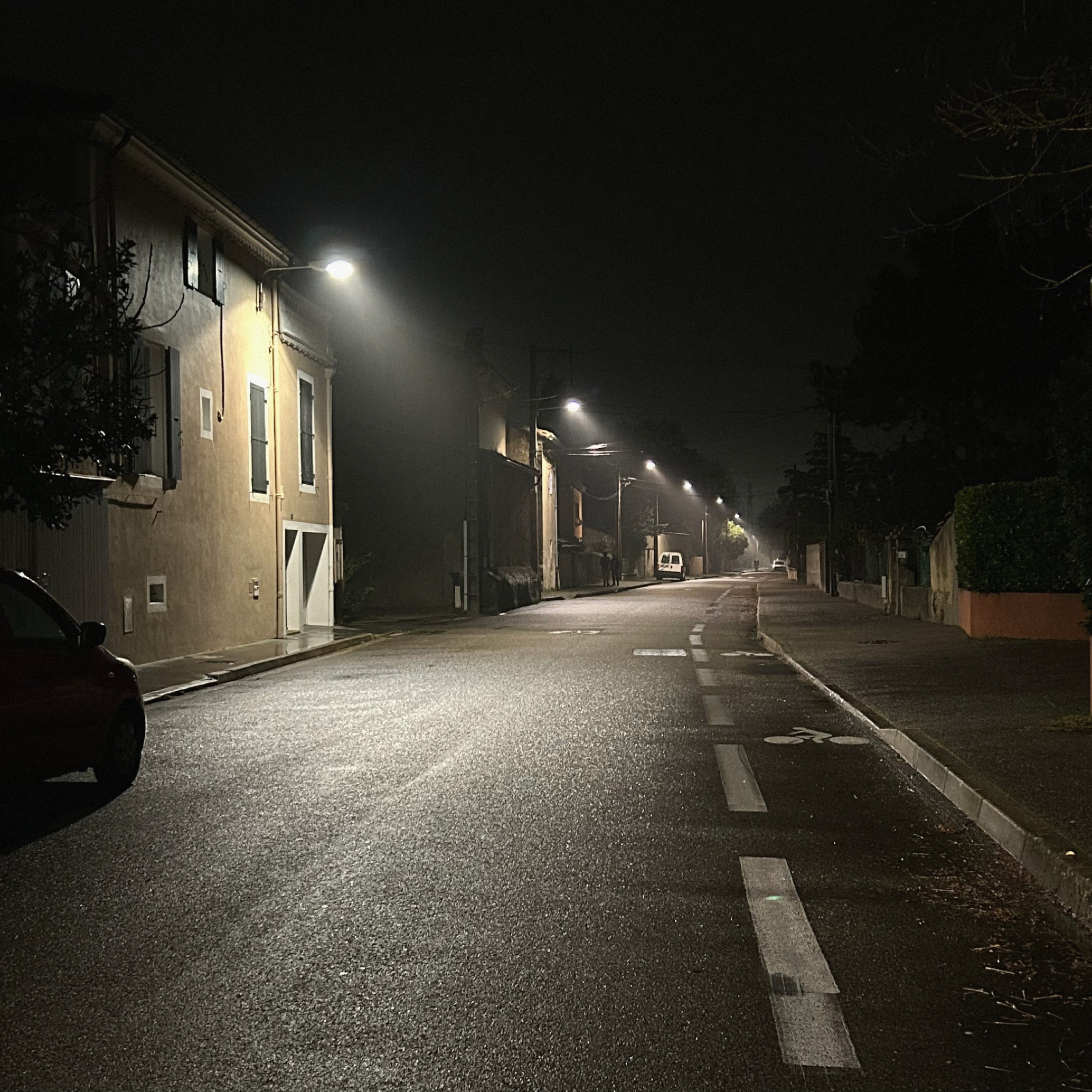 Snowfall in January - Single