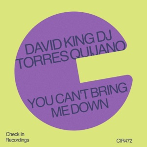 You Can't Bring Me Down - Single