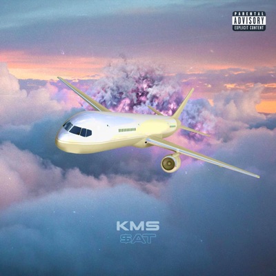 KMS (feat. HeyWasabi) - Single
