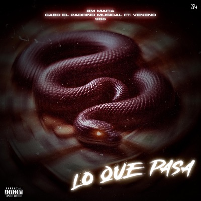 Lo que pasa (feat. Veneno) - Single