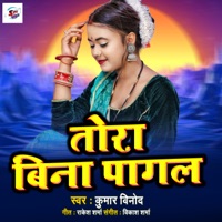 Tora Bina Pagal - Single - Kumar Vinod