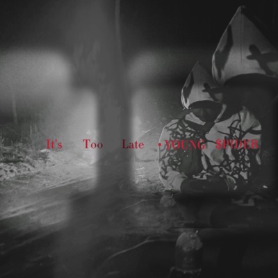 Too Late - Single