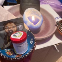 Taub Entzückt (feat. StarValentinoBeatz) - Single - ØJU