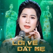 Lối Về Đất Mẹ artwork