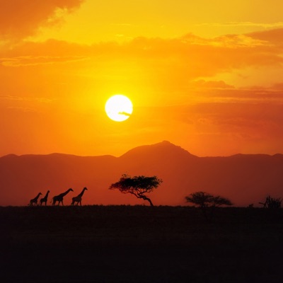 A Better World - Single