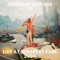 Bohemian Betyars 15 (Live at Budapest Park 2024) - Bohemian Betyars