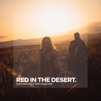 Red In The Desert - Single - Boris Brejcha & Poppy Baskcomb