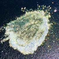 Diamond Dust II - EP - Capriest