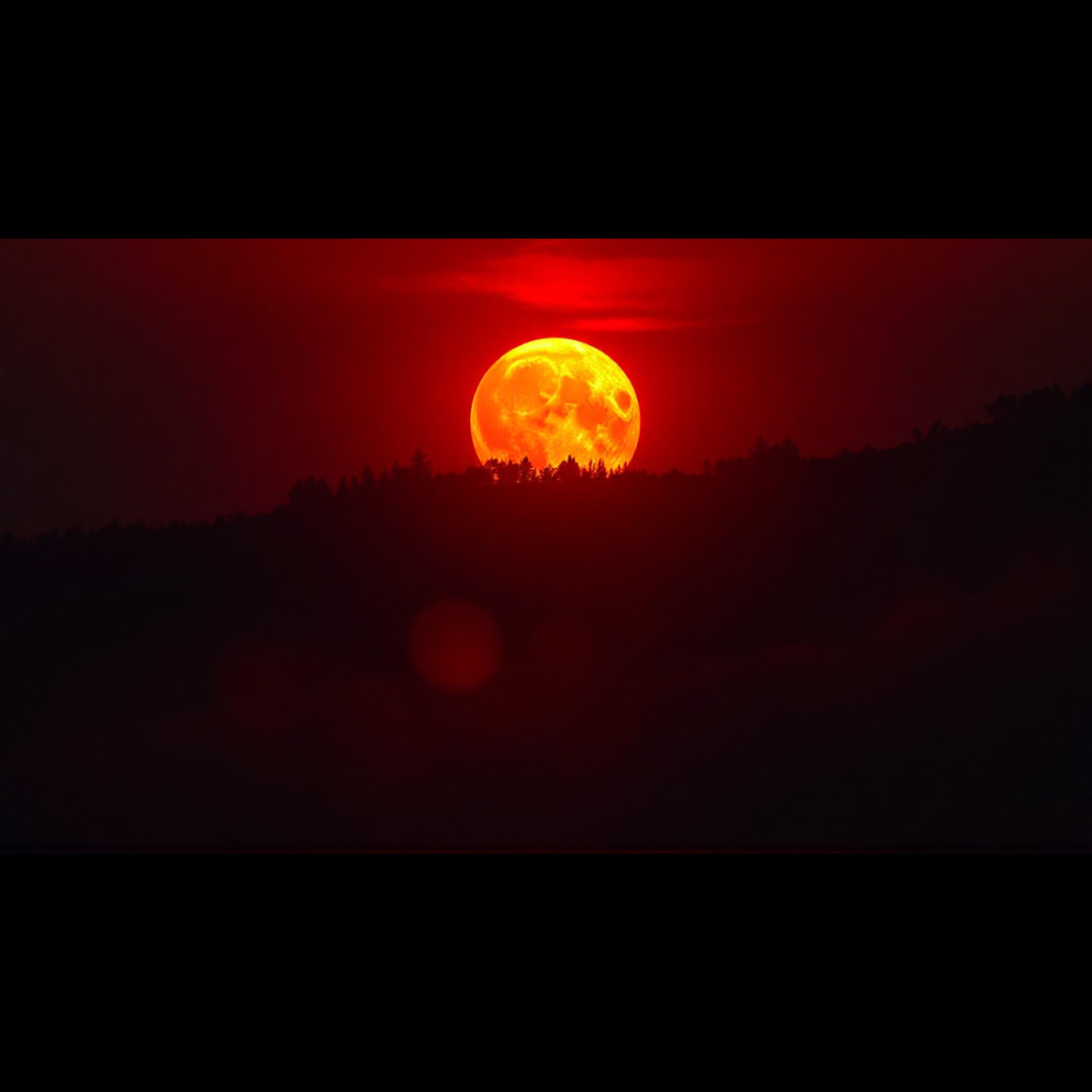 Psalms Chapter 3 of 150 - Single