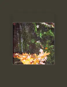 聆聽 PAUL ADAM、觀看音樂影片、閱讀小傳、查看巡演日期等！