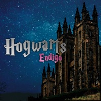 Hogwarts - Single - Endigo