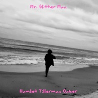 Album cover for I glitter och platå by Hamlet Tillerman Oaker