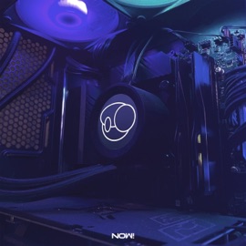 FORM Bitfyre & Rinzla