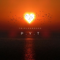 P.Y.T - Single - Triplexrosss