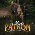 CARLOS SARMIENTO
