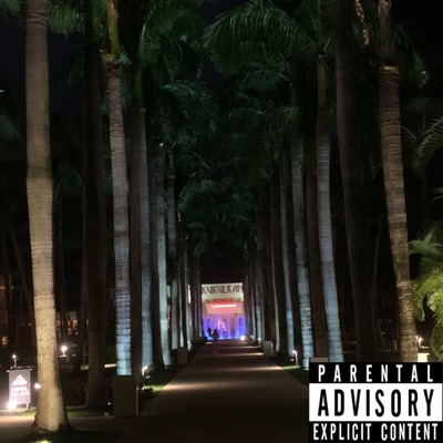 Run Around (feat. Thiev) - Single