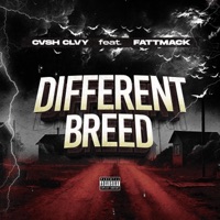 Different Breed (feat. FattMack) - Single - Cash Clay