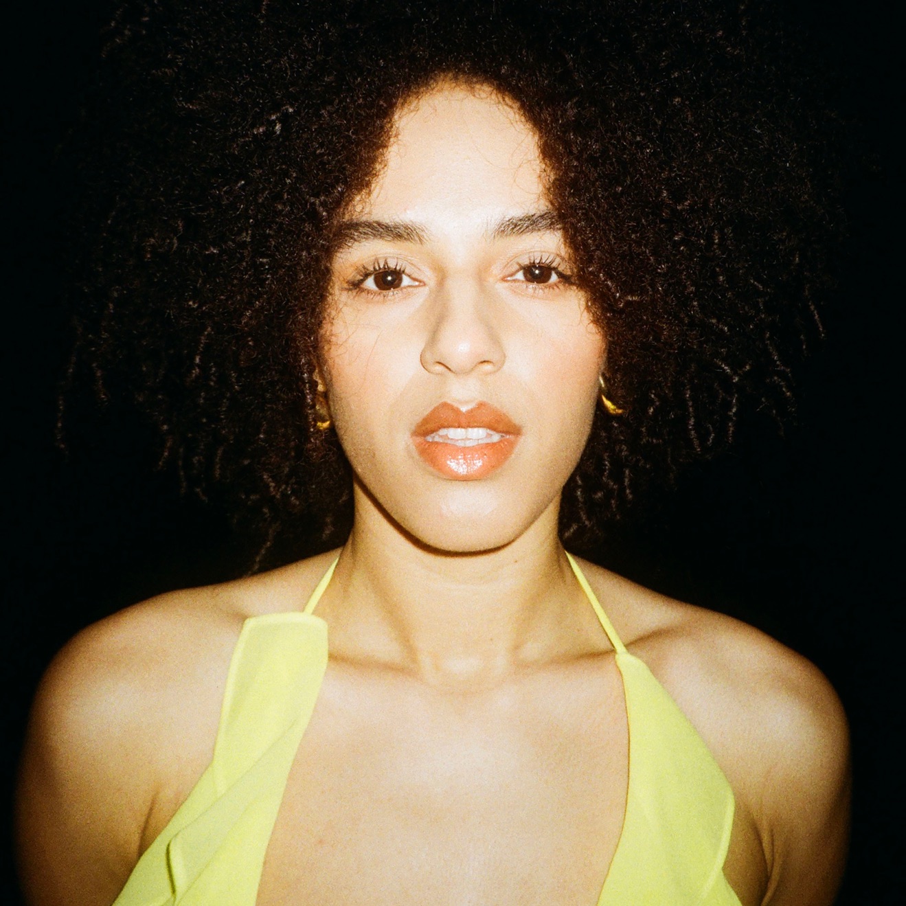 Akemi Fox – in the dark (2024) [iTunes Match M4A]