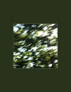 Ouve wraithe, vê vídeos de música, lê a biografia, vê as datas da digressão e muito mais!