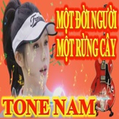 MỘT ĐỜI NGƯỜI - MỘT RỪNG CÂY artwork