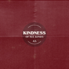 Kindess Of All Kinds - Amy Stroup