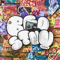 Bed Stuy (Radio Edit) - Single - FatSync