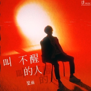叫不醒的人 - Single