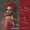 Pa ty