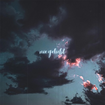 nie geliebt - Single