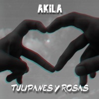 Tulipanes y Rosas - Single - AKILA
