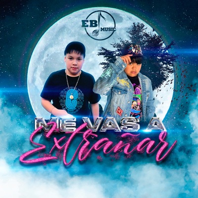 Me Vas a Extrañar - Single
