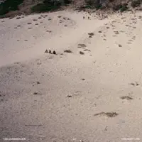 The Right Line