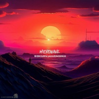 Microwave - Single - S3K1RV & harmonx